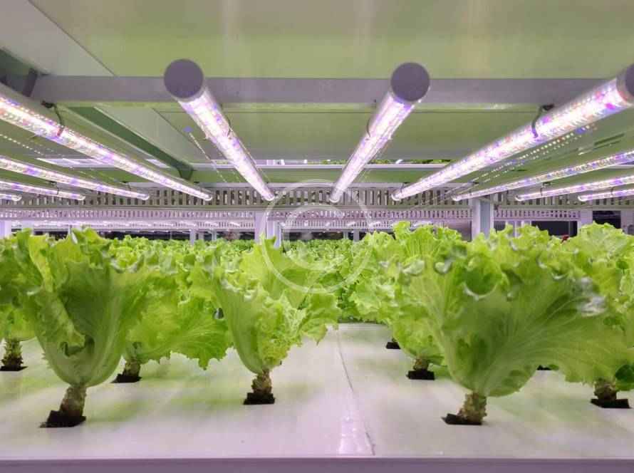 How to manage multiple container farms image83 copyright 890x664